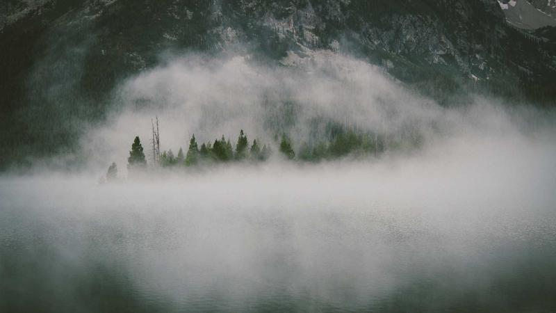 保険の見直し方｜無駄な保険料を削減して家計を改善するポイント