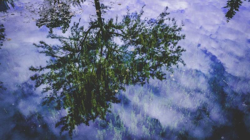 一人暮らしの生活費の目安｜収入別の家計バランスと節約術